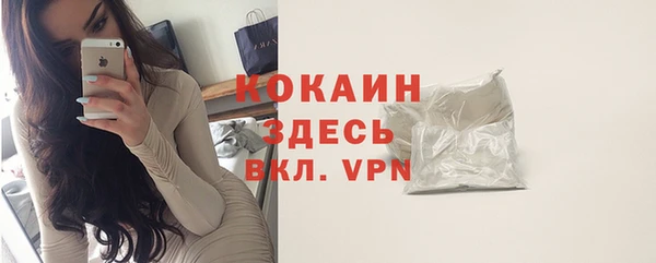 твердый Медногорск