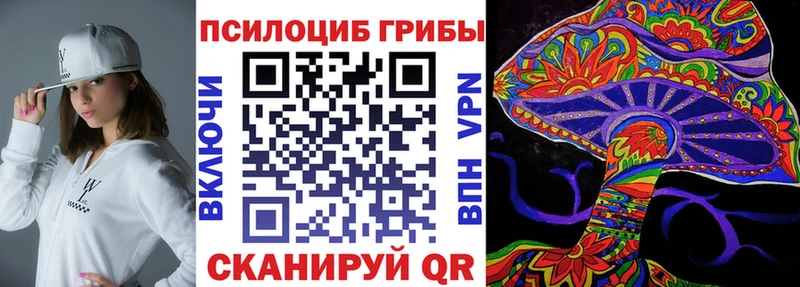Галлюциногенные грибы Cubensis  где продают наркотики  Алагир 